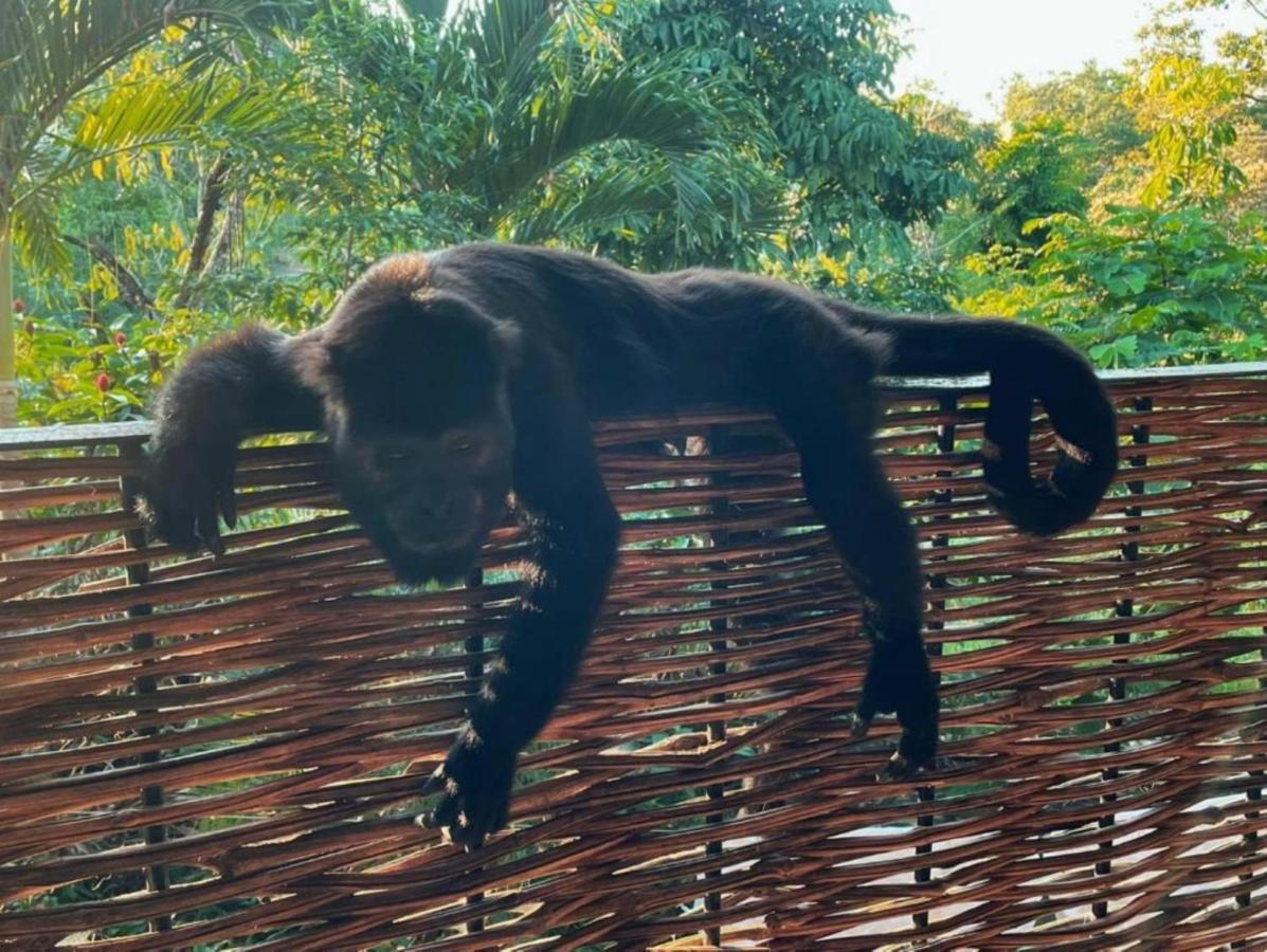 Los Susurros. Casa Palenque Buitenkant foto